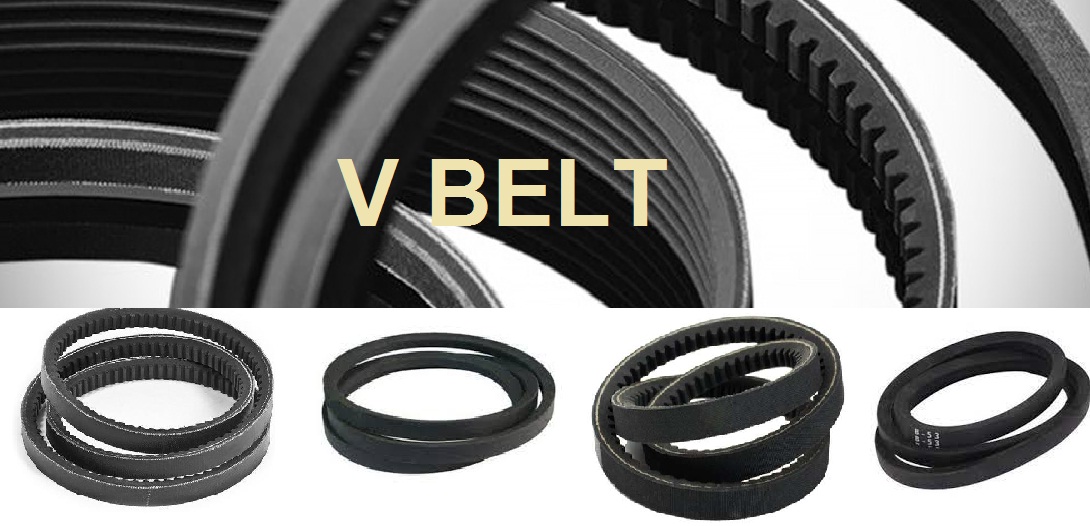 V Belt